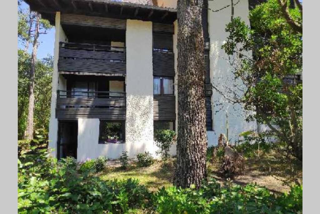 Appt Seignosse Le Penon - Plages Commerces A Pied Εξωτερικό φωτογραφία