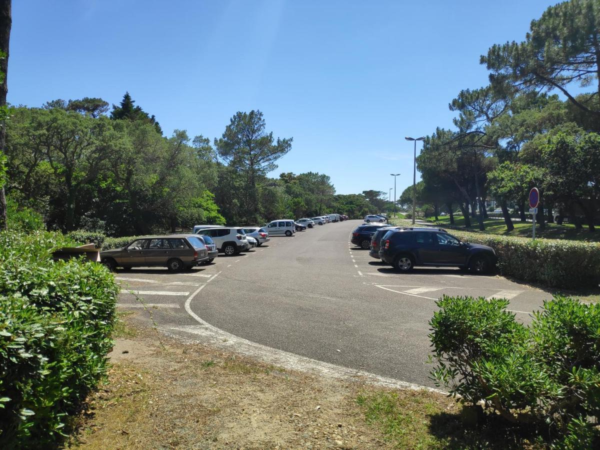 Appt Seignosse Le Penon - Plages Commerces A Pied Εξωτερικό φωτογραφία